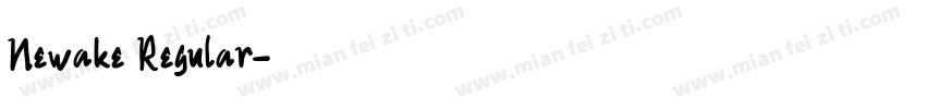 Newake Regular字体转换